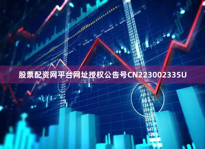 股票配资网平台网址授权公告号CN223002335U