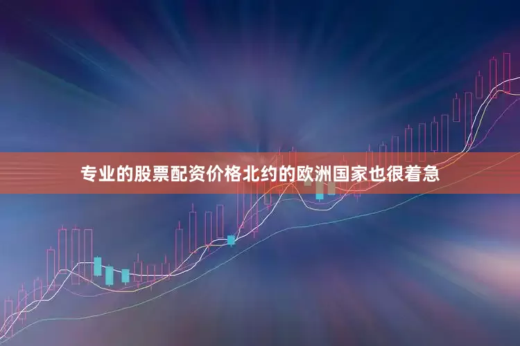 专业的股票配资价格北约的欧洲国家也很着急