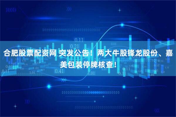 合肥股票配资网 突发公告！两大牛股锋龙股份、嘉美包装停牌核查！